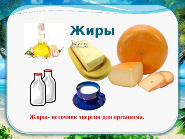 Жиры биология