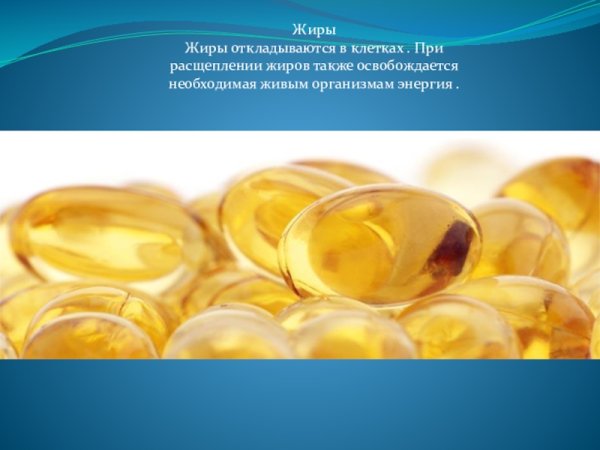 Жиры откладываются в клетках