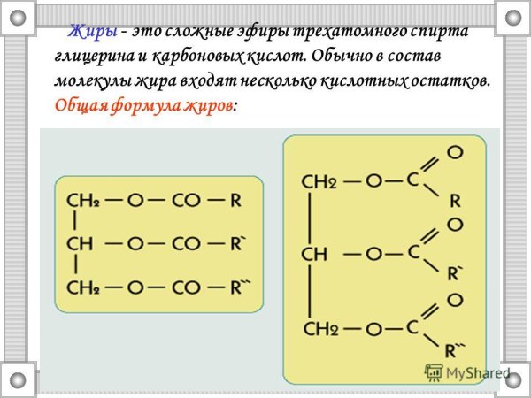 Молекула жира формула