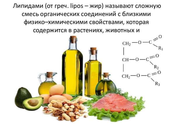 Жиры органические соединения