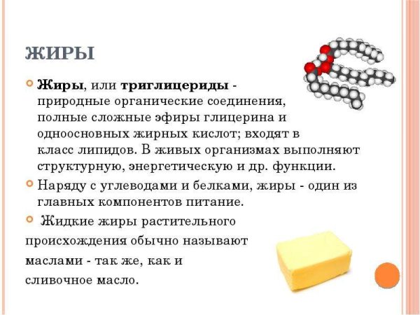 Энергетическая функция жиров