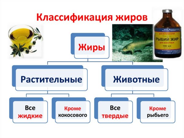 Строение воска липиды
