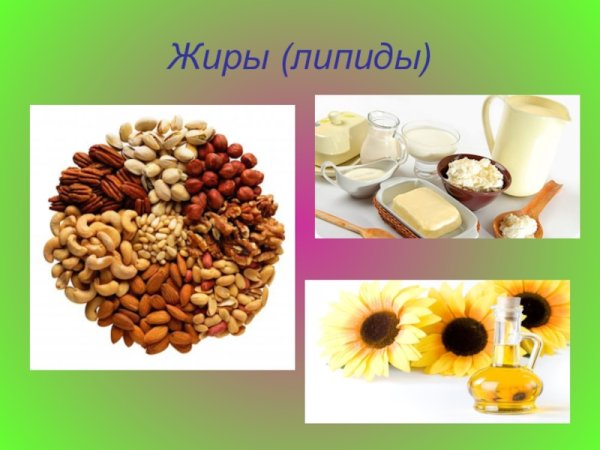 Классификация растительных и животных жиров