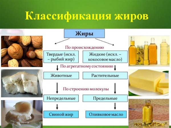 Сложные эфиры и жиры строение