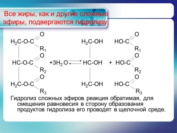 Презентация на тему жиры