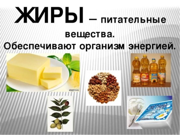 Жиры классификация питание