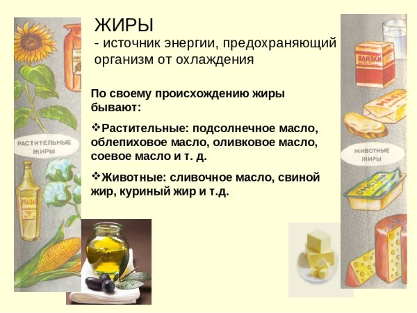 Жиры и их роль в питании