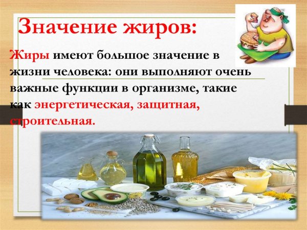 Жиры состав и строение