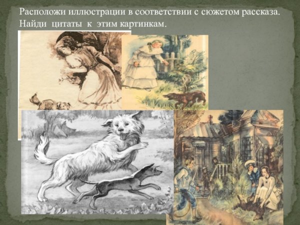 Л Н Андреев кусака