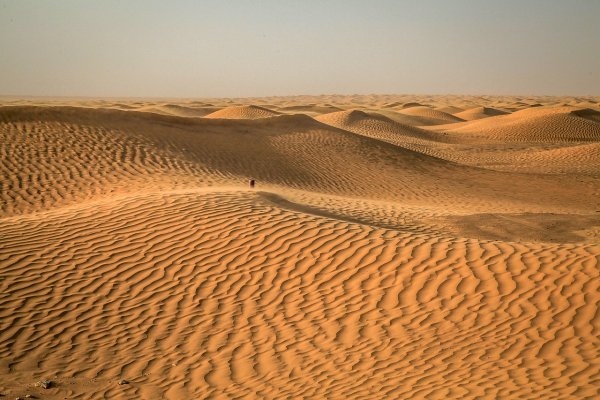 Пустыня сахара картинки (50 фото)
