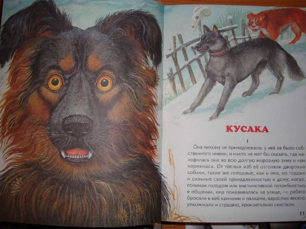 Кусака» л. Андреев собака