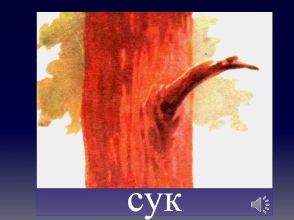 Сук для детей