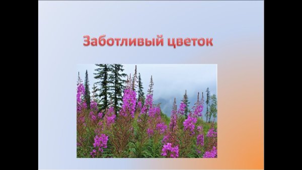 Паустовский заботливый цветок