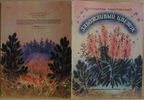 К.Паустовского "заботливый цветок" 10 вопросов