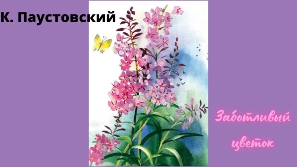 Заботливый цветок кипрей