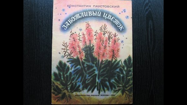 Заботливый цветок произведение Константина Паустовского