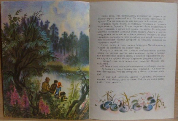 Растения Мурманской области Иван чай