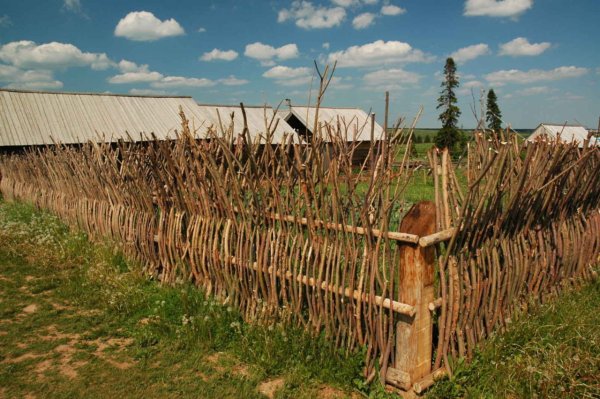 Изгородь из прутьев и ветвей Украина