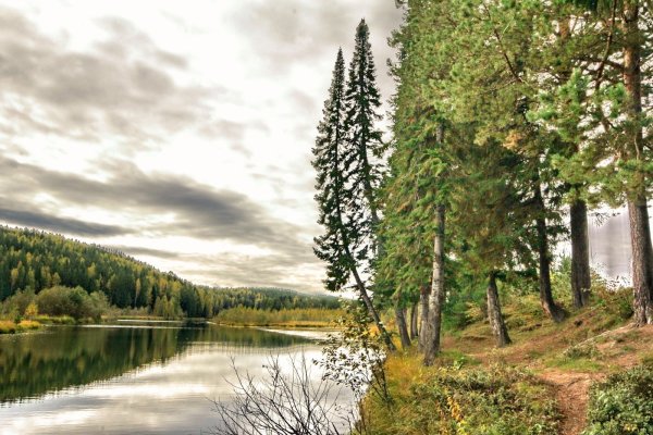 Уральские леса Екатеринбург