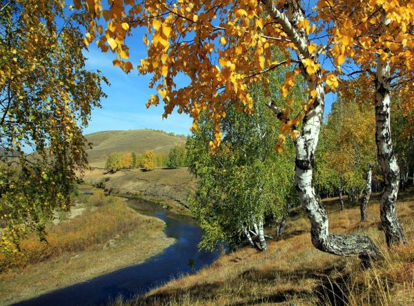 Природа Березка Урал