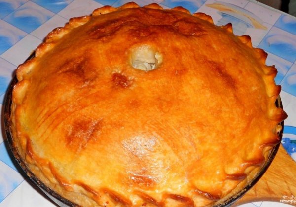 Сибирский курник