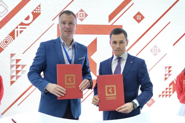 СИНЕРГИЯ вице президент