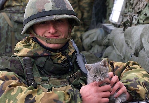 Военные с котами