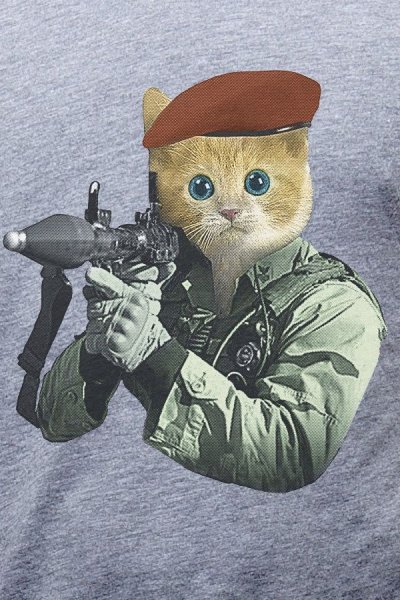 Котенок военный