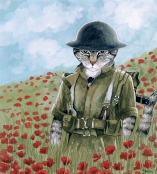 Котики в военной форме арт