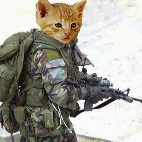 Солдат с кошкой