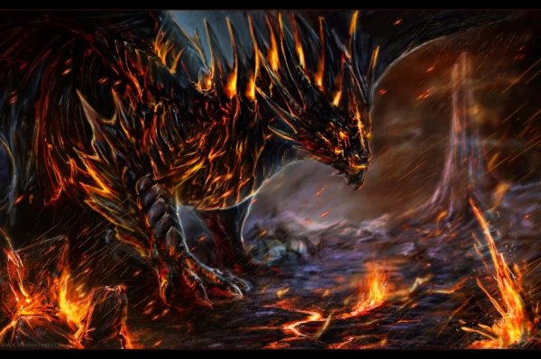 Last Chaos дракон