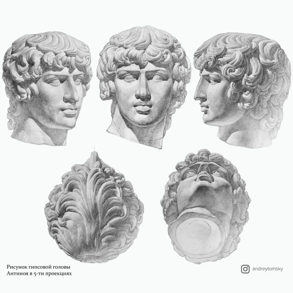 Антиной МАРХИ