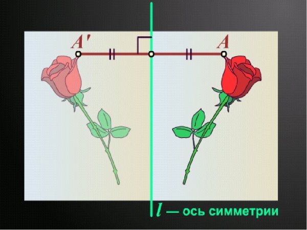 Ось симметрии рисунок