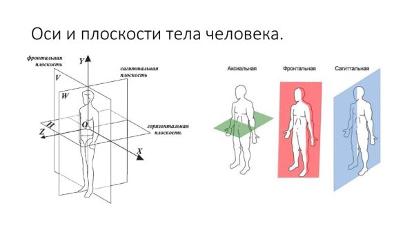 Симметричные фигуры