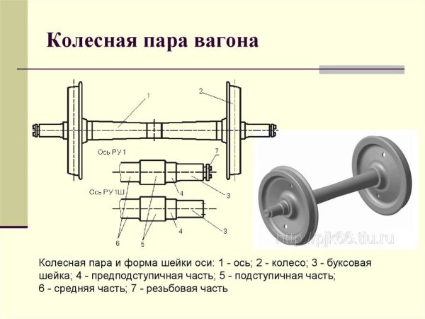 Осевая симметрия