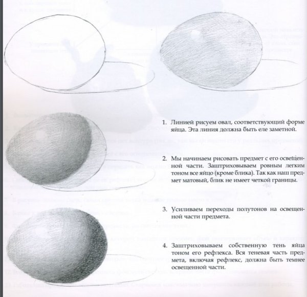 Яйцо карандашом