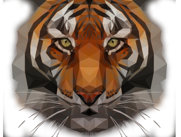Тигр геометрический картинки (48 фото)