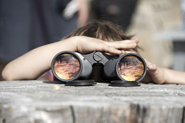 Наблюдение в естественной обстановке