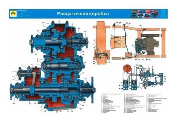 Раздаточная коробка КАМАЗ 4310 В разрезе