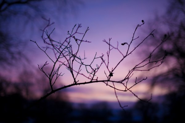 Сумерки природа