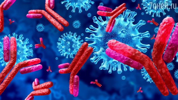 Antibodies Covid