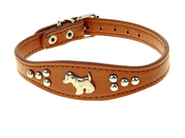 Ошейник на белом фоне