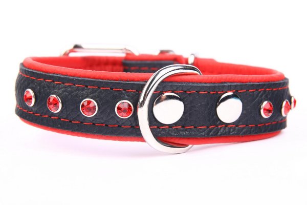 Zooleszcz ошейник