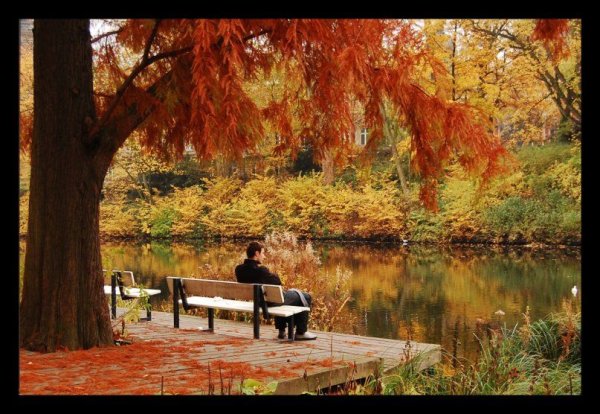 Осень пушкин картинки (49 фото)