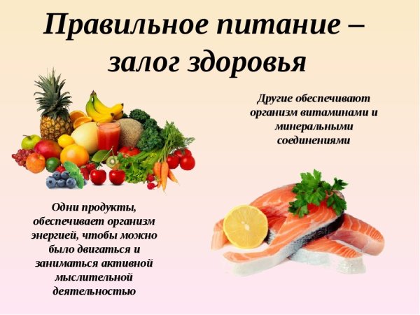 Основы здорового питания