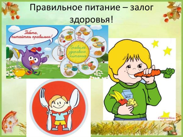 Здоровое питание иллюстрация