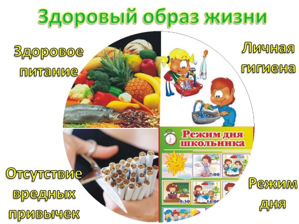 Здоровы йоьраз жизни для детей