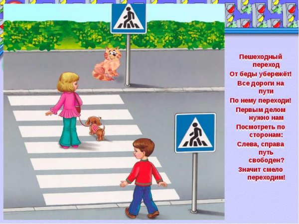 Дорожный знак Зебра