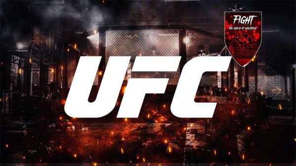 UFC логотип