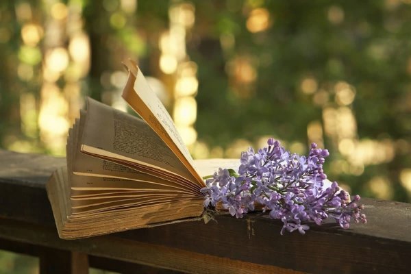 Красивые книги